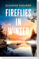 Fireflies in Winter
