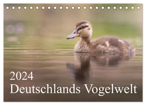 Wiechert, Thies. Deutschlands Vogelwelt (Tischkalender 2024 DIN A5 quer), CALVENDO Monatskalender - Ein Jahr voller spannender Vogelarten aus Deutschland.. Calvendo, 2023.