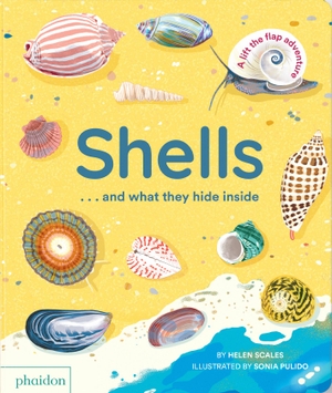 Scales, Helen / Sonia Pulido. Shells... and what they hide inside - A Lift-the-Flap Adventure. Phaidon Verlag GmbH, 2024.