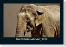 Der Elefantenkalender 2023 Fotokalender DIN A5