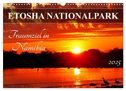 ETOSHA NATIONALPARK Traumziel in Namibia (Wandkalender 2025 DIN A3 quer), CALVENDO Monatskalender
