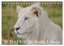 SÜDAFRIKAS Weiße Löwen (Tischkalender 2024 DIN A5 quer), CALVENDO Monatskalender
