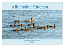 Alle meine Entchen ... Entenparadies Kurisches Haff (Wandkalender 2024 DIN A2 quer), CALVENDO Monatskalender