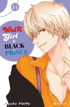 Hatta, Ayuko. Wolf Girl & Black Prince 14. Pegasus Manga, 2017.