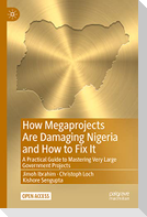 How Megaprojects Are Damaging Nigeria and How to Fix It