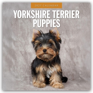 Red, Robin. Yorkshire Terrier Puppies - Yorkshire Terrier Hundewelpen 2027 - 16-Monatskalender - Original Red Robin Publishing Ltd-Kalender [Mehrsprachig] [Kalender]. Browntrout Verlags GmbH, 2026.