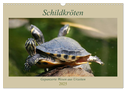 Schildkröten - Gepanzerte Wesen aus Urzeiten (Wandkalender 2025 DIN A3 quer), CALVENDO Monatskalender