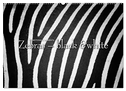 Emotionale Momente: Zebras - black & white. (Wandkalender 2024 DIN A2 quer), CALVENDO Monatskalender