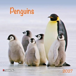 Penguins 2027 - Kalender 2027. Tushita PaperArt GmbH, 2026.