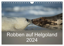 Robben auf Helgoland 2024 (Wandkalender 2024 DIN A4 quer), CALVENDO Monatskalender