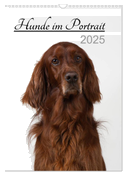 Hunde im Portrait (Wandkalender 2025 DIN A3 hoch), CALVENDO Monatskalender