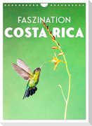 Faszination Costa Rica (Wandkalender 2024 DIN A4 hoch), CALVENDO Monatskalender