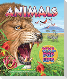 Animals XXL pop-ups