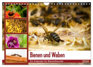 Wilms, Barbara. Bienen und Waben (Wandkalender 2024 DIN A4 quer), CALVENDO Monatskalender - Bienen auf Blüten und Waben.. Calvendo, 2023.