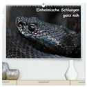 Einheimische Schlangen ganz nah (hochwertiger Premium Wandkalender 2024 DIN A2 quer), Kunstdruck in Hochglanz
