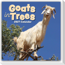 Goats in Trees - Ziegen auf Bäumen 2027 - 16-Monatskalender