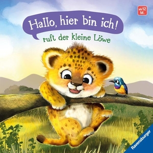 Praml, Sabine. "Hallo, hier bin ich!", ruft der kleine Löwe - Erste Vorlesegeschichte für Kinder ab 1 Jahr. Ravensburger Verlag, 2026.
