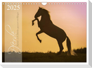 Pferde - Anmut und Stärke gepaart mit Magie (Wandkalender 2025 DIN A4 quer), CALVENDO Monatskalender