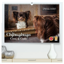 Chihuahuas - Cool and Cute (hochwertiger Premium Wandkalender 2025 DIN A2 quer), Kunstdruck in Hochglanz