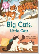 Reading Champion: Big Cats, Little Cats