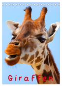 Giraffen (Tischkalender 2024 DIN A5 hoch), CALVENDO Monatskalender