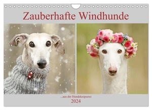Köntopp, Kathrin. Zauberhafte Windhunde (Wandkalender 2024 DIN A4 quer), CALVENDO Monatskalender - ....mit den langen Nasen durch das Jahr.. Calvendo, 2023.