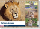 Katzen Afrikas (Tischkalender 2022 DIN A5 quer)