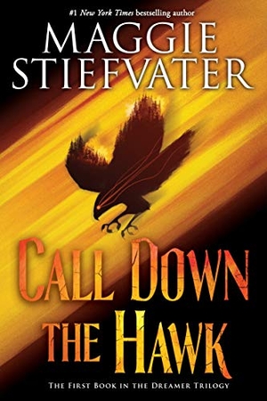 Stiefvater, Maggie. Call Down the Hawk (the Dreamer Trilogy, Book 1). Scholastic Inc., 2021.