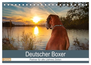 Mielke, Kerstin. Deutscher Boxer (Tischkalender 2024 DIN A5 quer), CALVENDO Monatskalender - Partner für alle (Jahres) Zeiten. Calvendo, 2023.