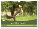 Eichhörnchen - Kleine Fotostars (Wandkalender 2025 DIN A4 quer), CALVENDO Monatskalender