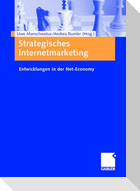 Strategisches Internetmarketing