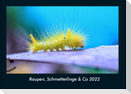 Raupen, Schmetterlinge & Co 2022 Fotokalender DIN A4