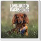 Long-Haired Dachshunds - Langhaardackel 2027 - 16-Monatskalender