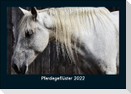 Pferdegeflüster 2022 Fotokalender DIN A5