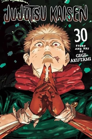Akutami, Gege. Jujutsu Kaisen, Vol. 30. Simon & Schuster UK Ltd, 2026.