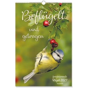 Beflügelt und getragen 2027 - Vögel. Kawohl Verlag GmbH, 2026.