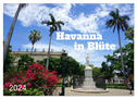 Havanna in Blüte (Wandkalender 2024 DIN A2 quer), CALVENDO Monatskalender