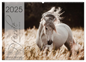 Spiegel deiner Seele (Wandkalender 2025 DIN A2 quer), CALVENDO Monatskalender