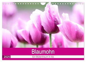 Verena Scholze, Fotodesign. Blaumohn - Ein Blütentraum in lila (Wandkalender 2025 DIN A4 quer), CALVENDO Monatskalender - Blaumohn. Calvendo, 2024.