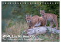Wolf, Luchs und Co. - Tierbilder aus dem Bayerischen Wald (Tischkalender 2024 DIN A5 quer), CALVENDO Monatskalender