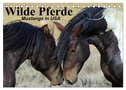 Wilde Pferde ¿ Mustangs in USA (Tischkalender 2024 DIN A5 quer), CALVENDO Monatskalender