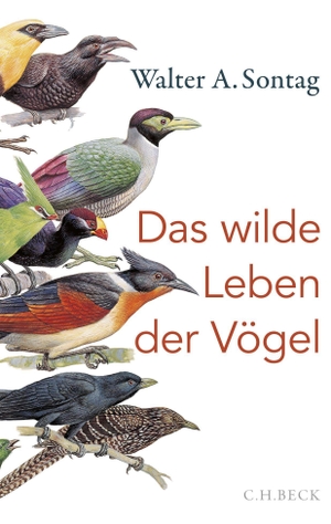 Sontag, Walter A.. Das wilde Leben der Vögel - Von Nachtschwärmern, Kuckuckskindern und leidenschaftlichen Sängern. C.H. Beck, 2020.