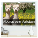 Alpakas zum Verlieben (hochwertiger Premium Wandkalender 2025 DIN A2 quer), Kunstdruck in Hochglanz