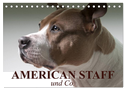 American Staff und Co. (Tischkalender 2024 DIN A5 quer), CALVENDO Monatskalender