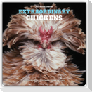 Extraordinary Chickens - Außergewöhnliche Hühner 2027 - Wandkalender - Original Harry N. Abrams Kalender [Mehrsprachig] [Kalender]