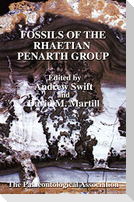 Fosils of the Rhaertian Penarth Group 9