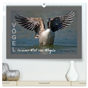VÖGEL (hochwertiger Premium Wandkalender 2025 DIN A2 quer), Kunstdruck in Hochglanz