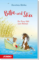Billie und Stüx 01 - Ein Pony fällt vom Himmel