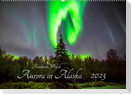 Aurora in Alaska (Wandkalender 2023 DIN A2 quer)