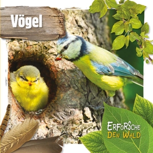 Twiddy, Robin. Vögel - Erforsche den Wald. Ars Scribendi Verlag, 2019.